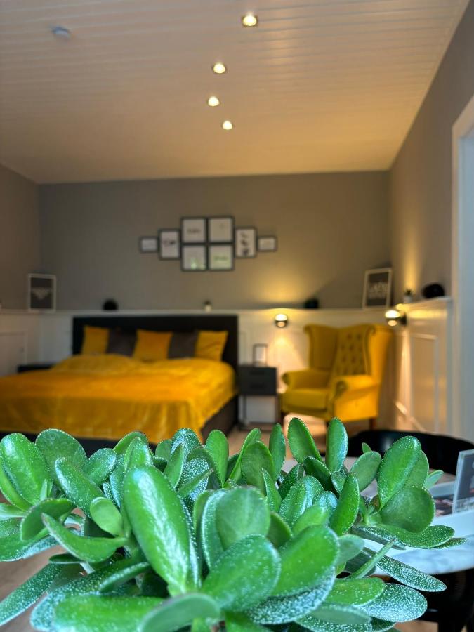 Appartamento con 1 Camera da Letto e Vista Giardino