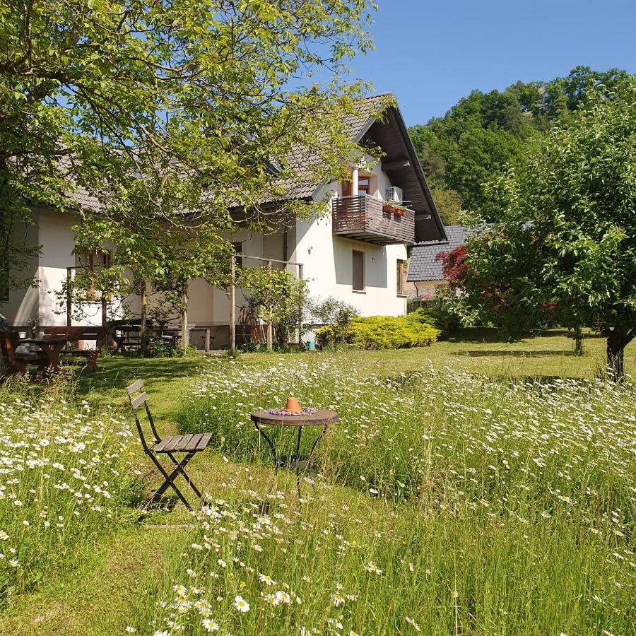 River House Radolca - Ferienwohnung