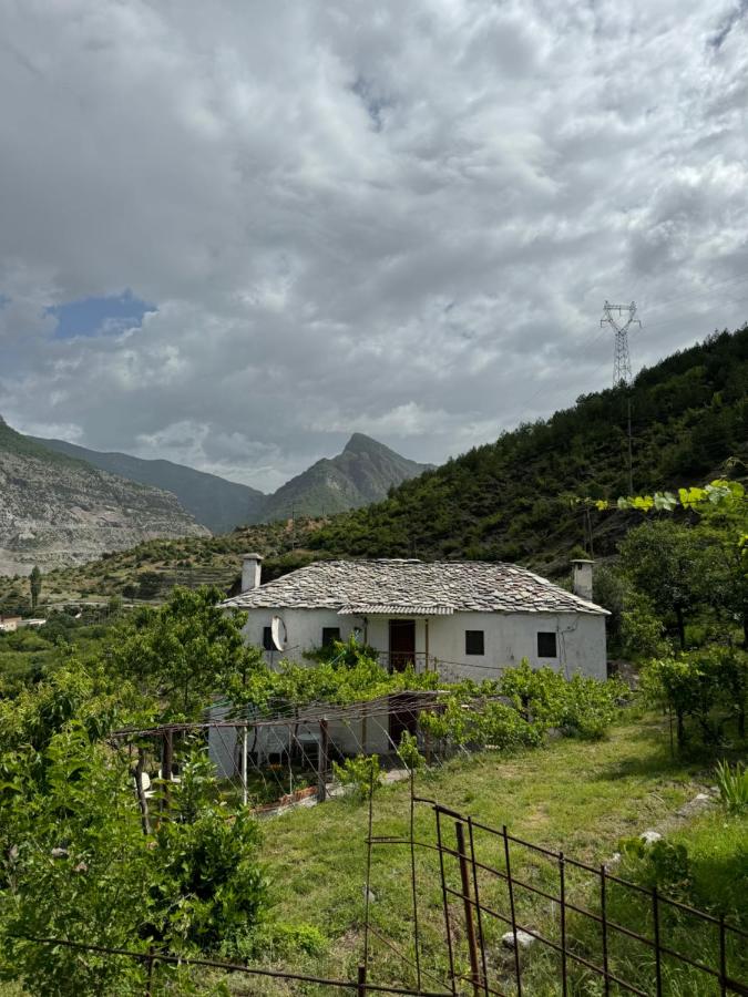 Guest House Noku - B&B