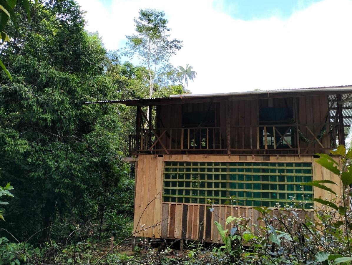Cabañas eco lógicas mu'ü - Chambres d’hôtes