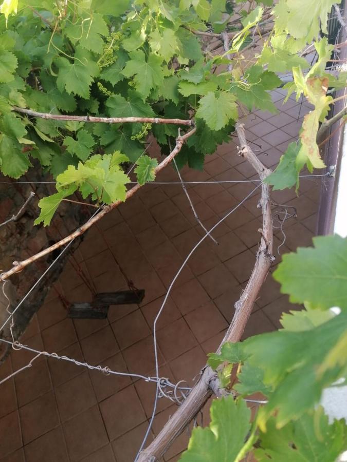 Fuga in montagna - Ferienwohnung Zawya