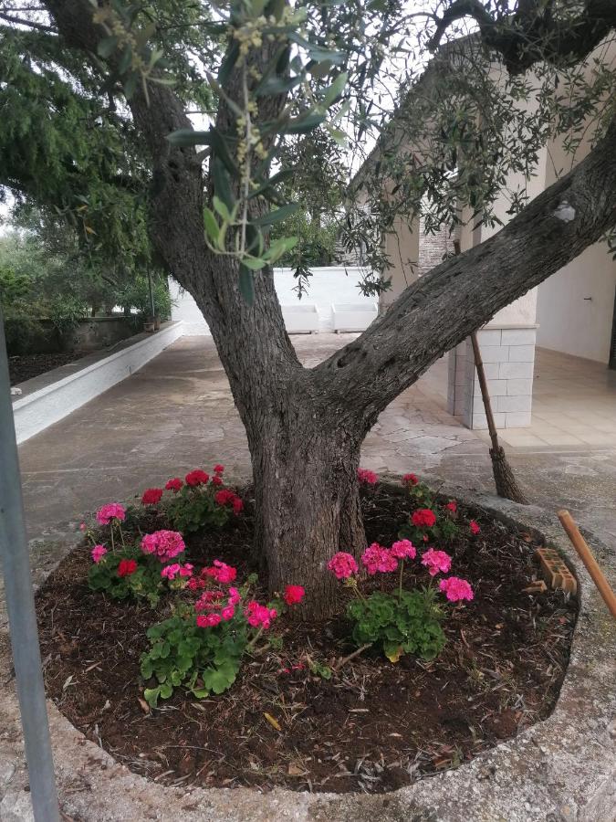 villetta immersa nel verde - B&B