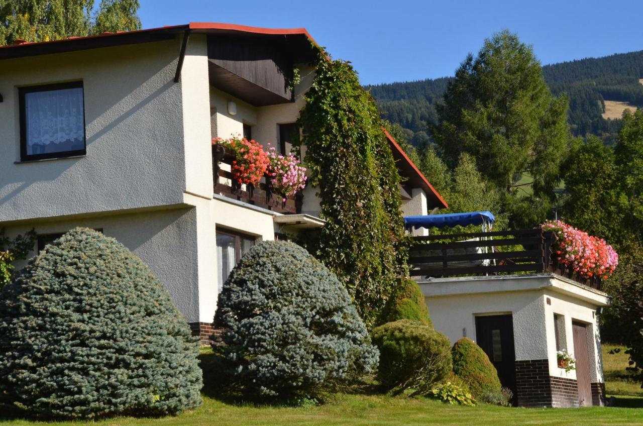 B&B Rokytnice nad Jizerou - Apartmán Braun - Bed and Breakfast Rokytnice nad Jizerou