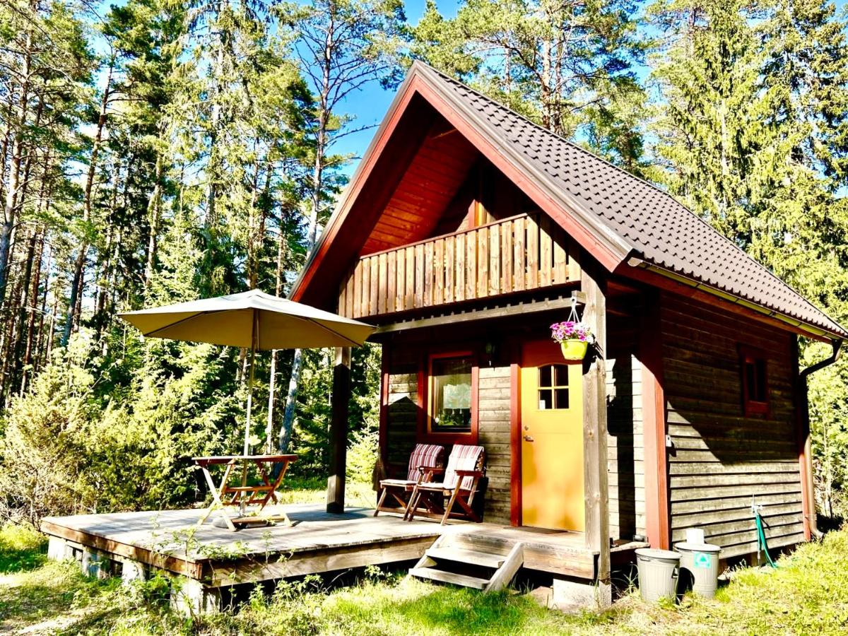 Veela metsamaja - B&B