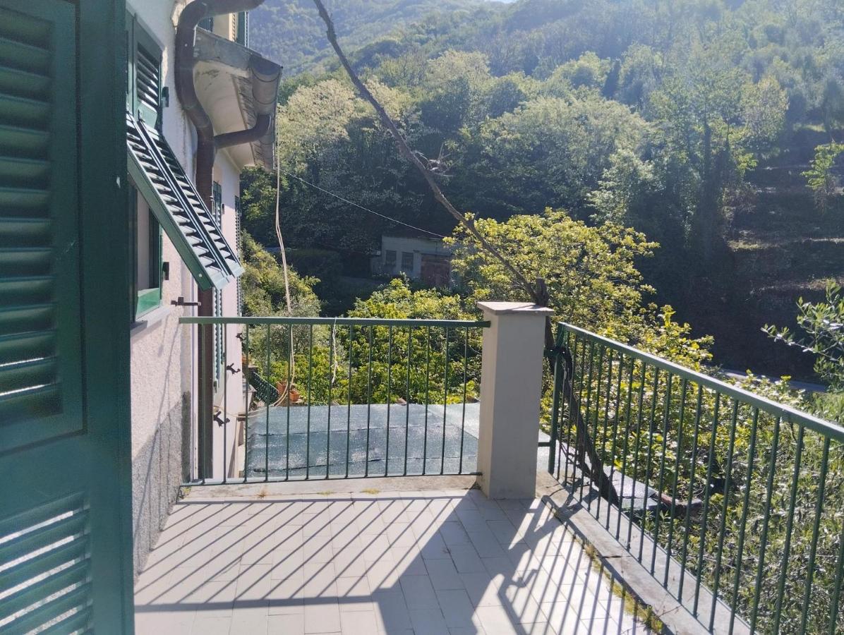 Casa indipendente silenziosa, super relax nel verde a pochi minuti dal mare - B&B Cogorno