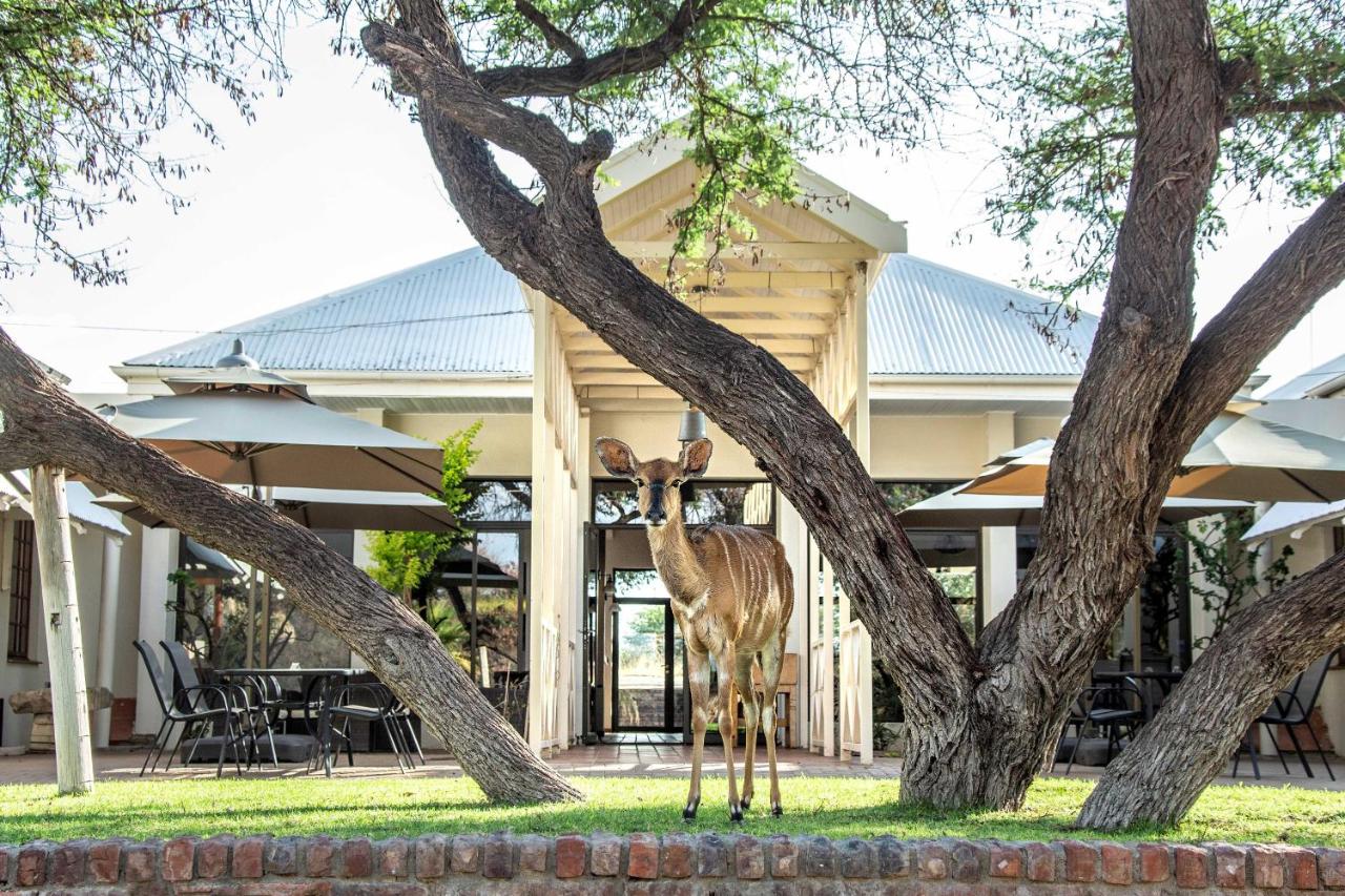 B&B Otjiwarongo - Otjibamba Lodge - Bed and Breakfast Otjiwarongo