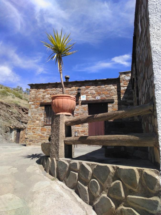 Encina de Lorenzo 1 - Chambres d’hôtes Abrucena