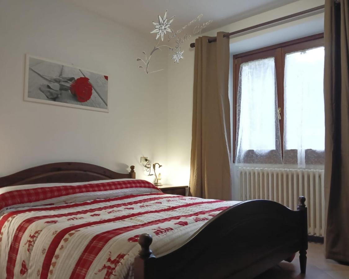 Apartment - Erdgeschoss