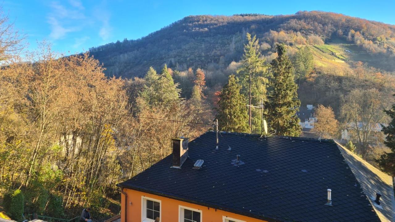 Maxi-Appartement zum gechillten Hirsch OG Traben-Trarbach - Chambres d'hôtes Traben-Trarbach