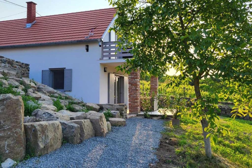 Sol Antemuralis Vendégház - B&B