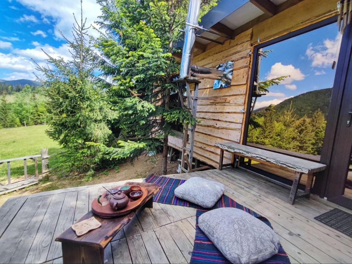 Eco glamping - Carpathians. Retreat hub Dzin Space - B&B