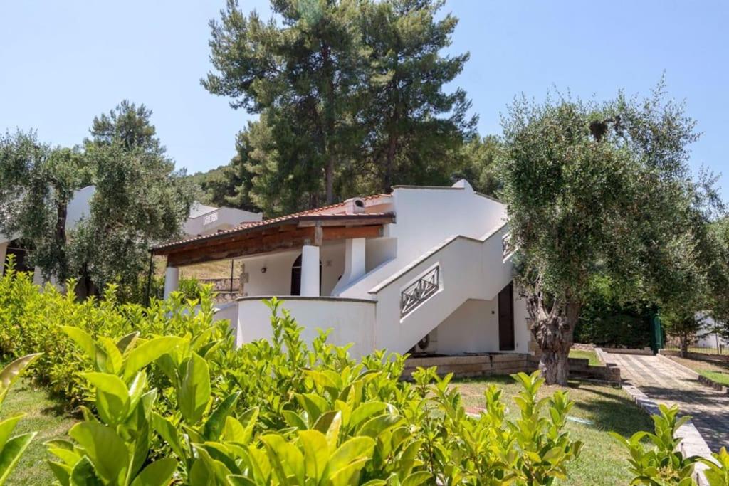villetta pugnochiuso le macine vieste gargano - B&B Vieste