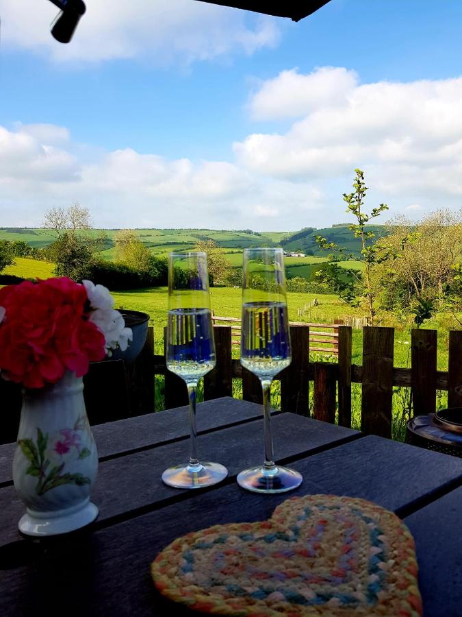 B&B Craven Arms - Foxglove Accommodation - Bed and Breakfast Craven Arms