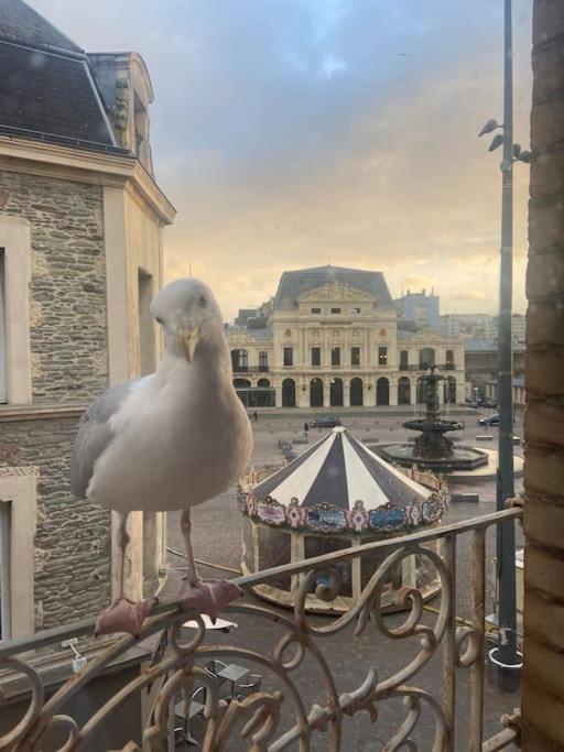 Grand appartement vue théâtre Hyper Centre - B&B Cherbourg