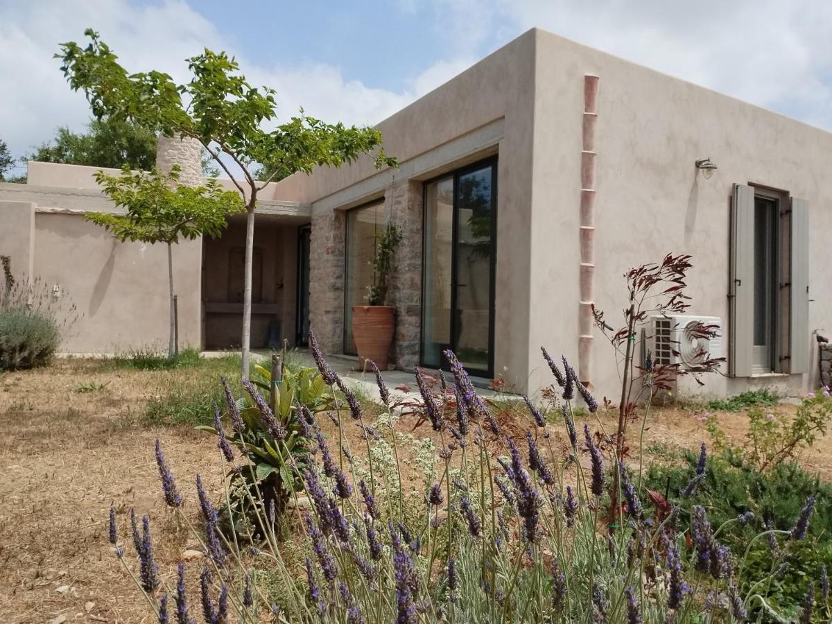 Oxalis Villas - B&B