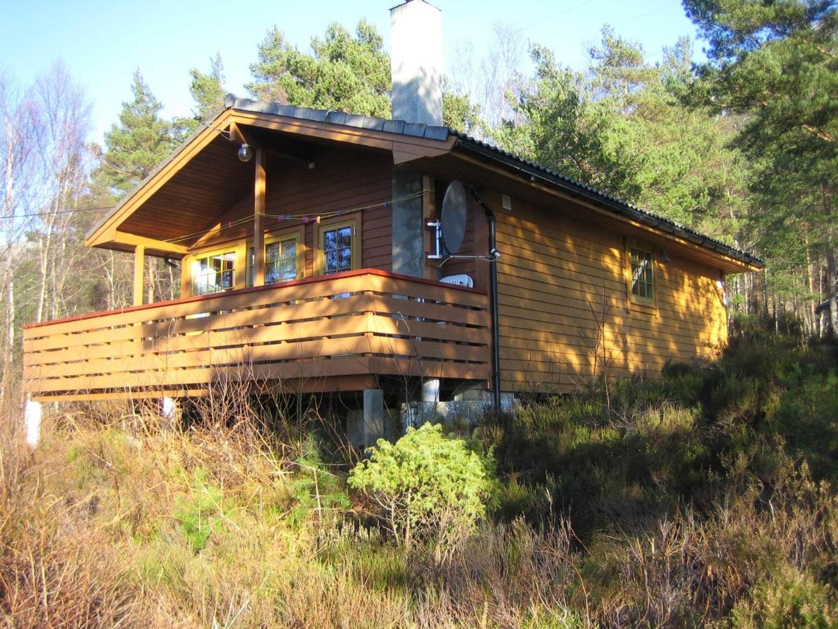 Fjordhytte-39 am Hardangerfjord, Motorboot mietbar - B&B