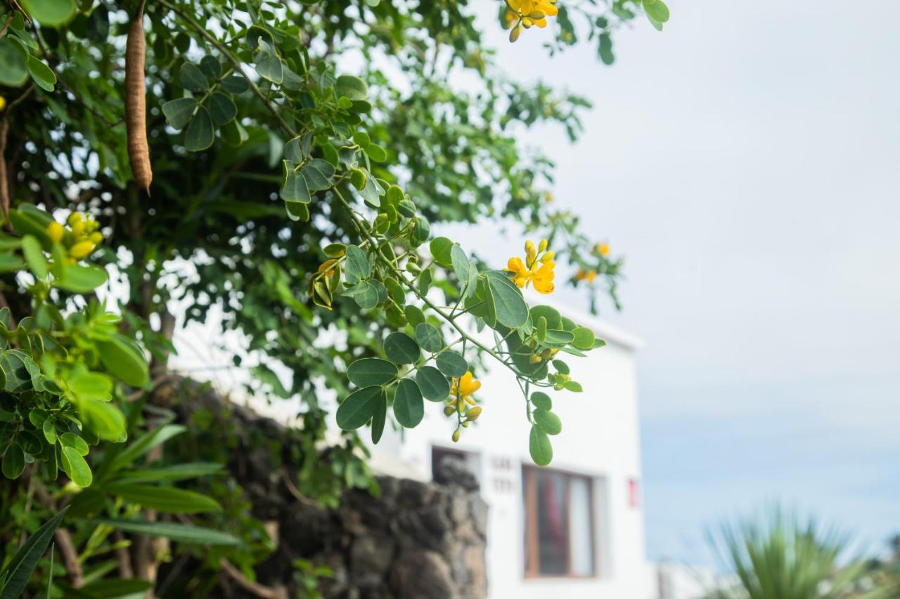 Casa Rural Yeyo en el cráter del volcán - B&B