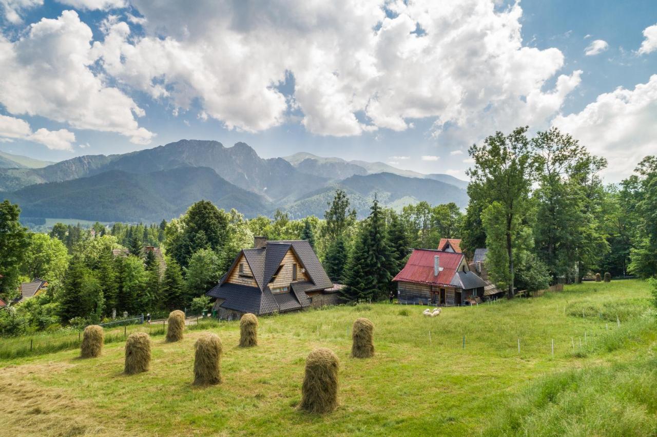 Malownicza Polana Centrum Zakopane - B&B Zakopane