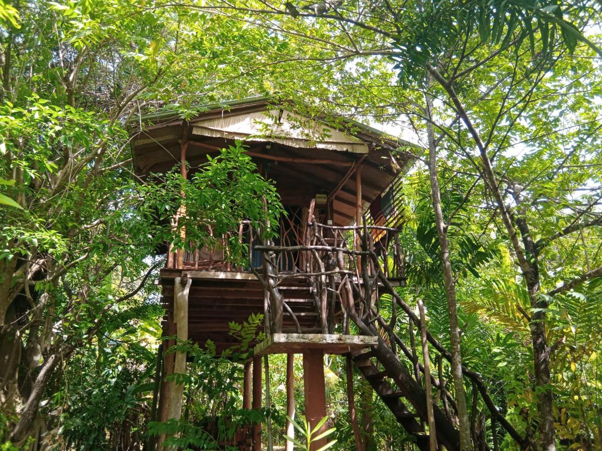 B&B Sigiriya - Sigiriya Rock Gate Tree House - Bed and Breakfast Sigiriya