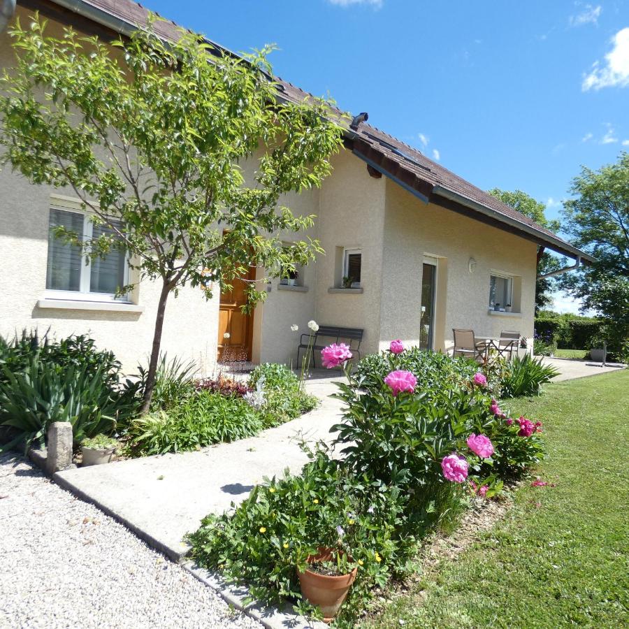les iris - B&B
