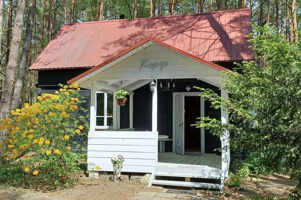 Wilga - urokliwy dom z bala (50 km od Warszawy) - B&B