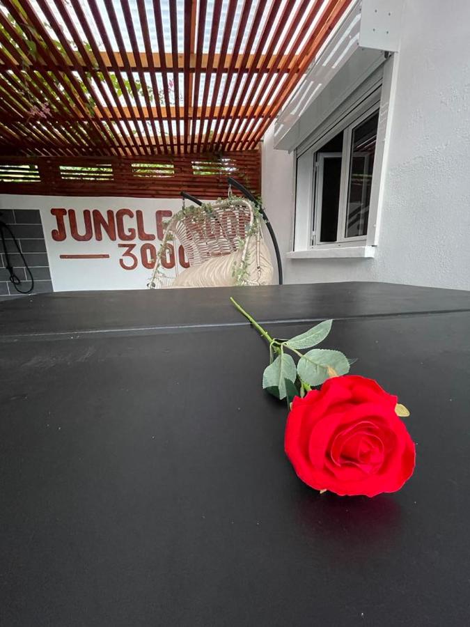 Jungle Room 3000 x Jacuzzi Privé - 2 personnes - B&B Pamandzi