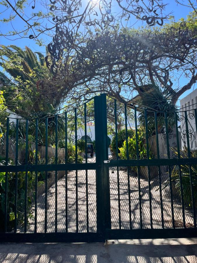 Finca la Pampa - B&B Arafo