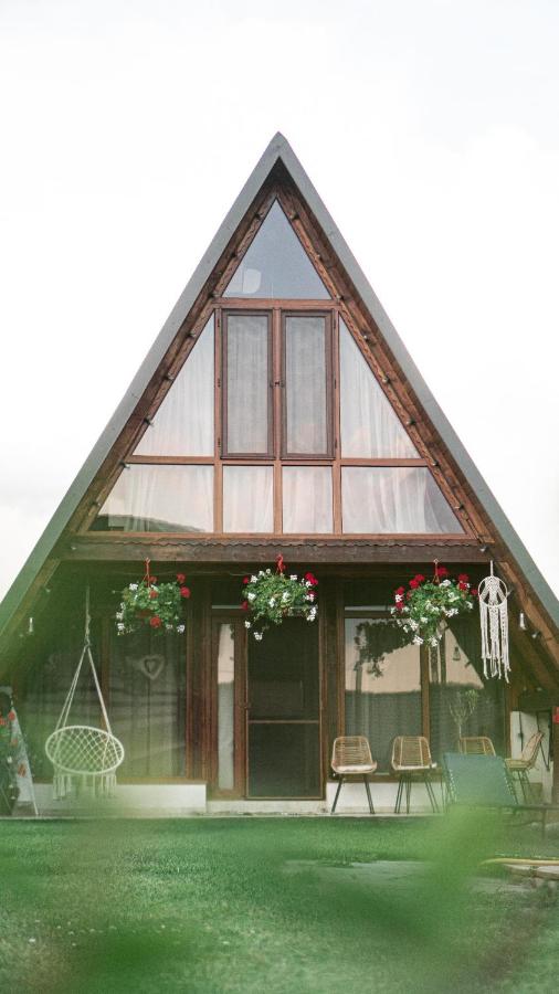 Pensiunea Fata Viilor - Bed and Breakfast Cergău Mare