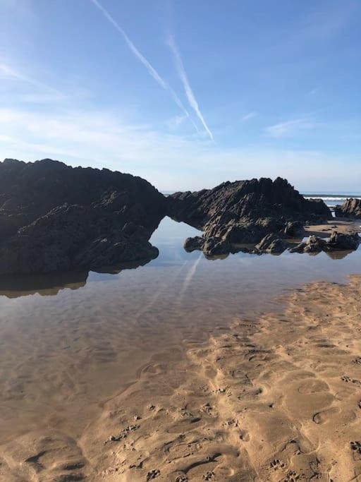 Kingfisher, Moor and Sea Holidays, a beautiful space overlooking Exmoor - Chambres d’hôtes