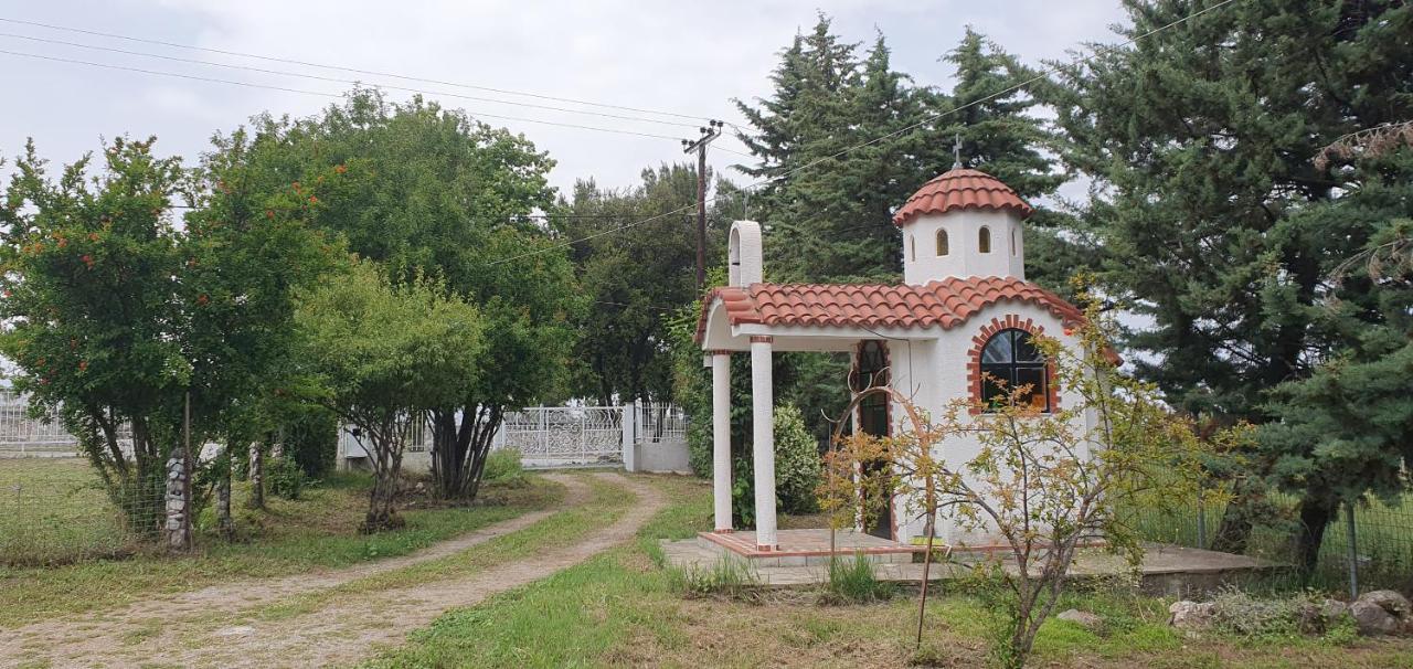 Hephaestus Appartments Litochoro - A2 - Chambres d’hôtes Litochoro