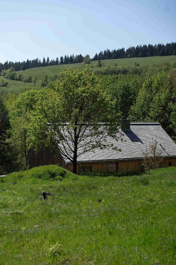 Gonna Dom w Górach - B&B Gniewoszów