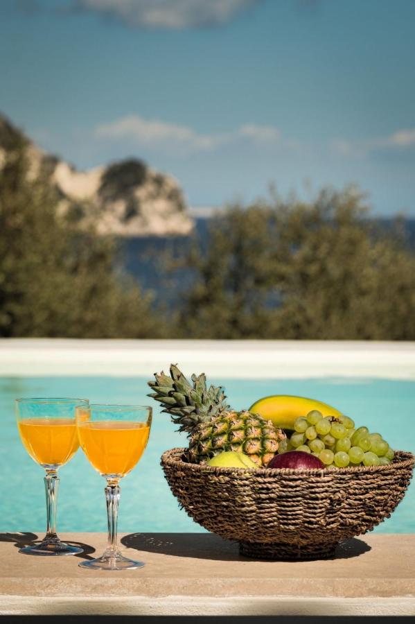 Lente vivus - B&B