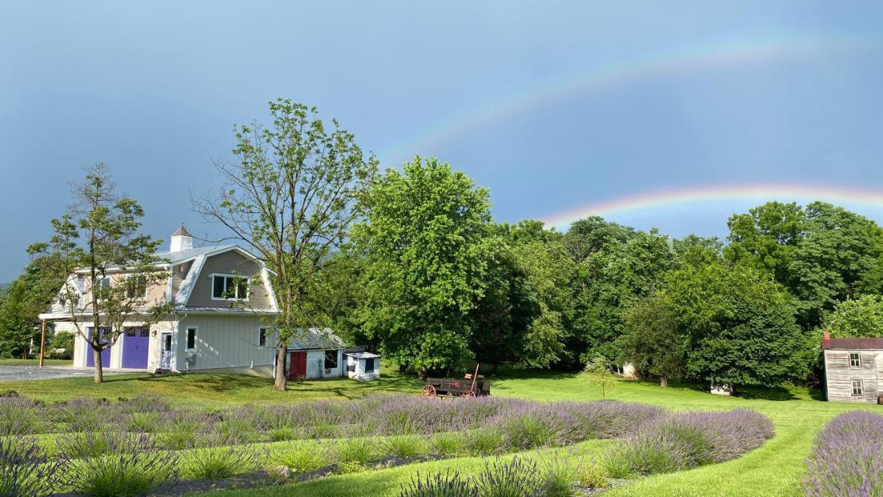 La Soledad Lavender Farm and Guesthouse - Chambres d’hôtes Harpers Ferry