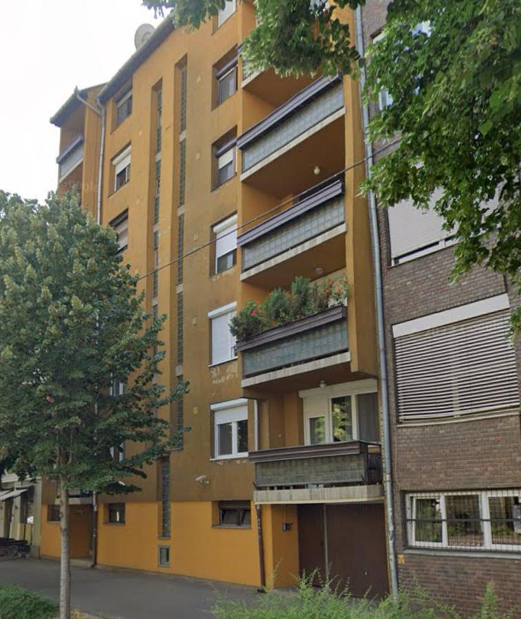 Kedves Kuckó a belvárosban - B&B