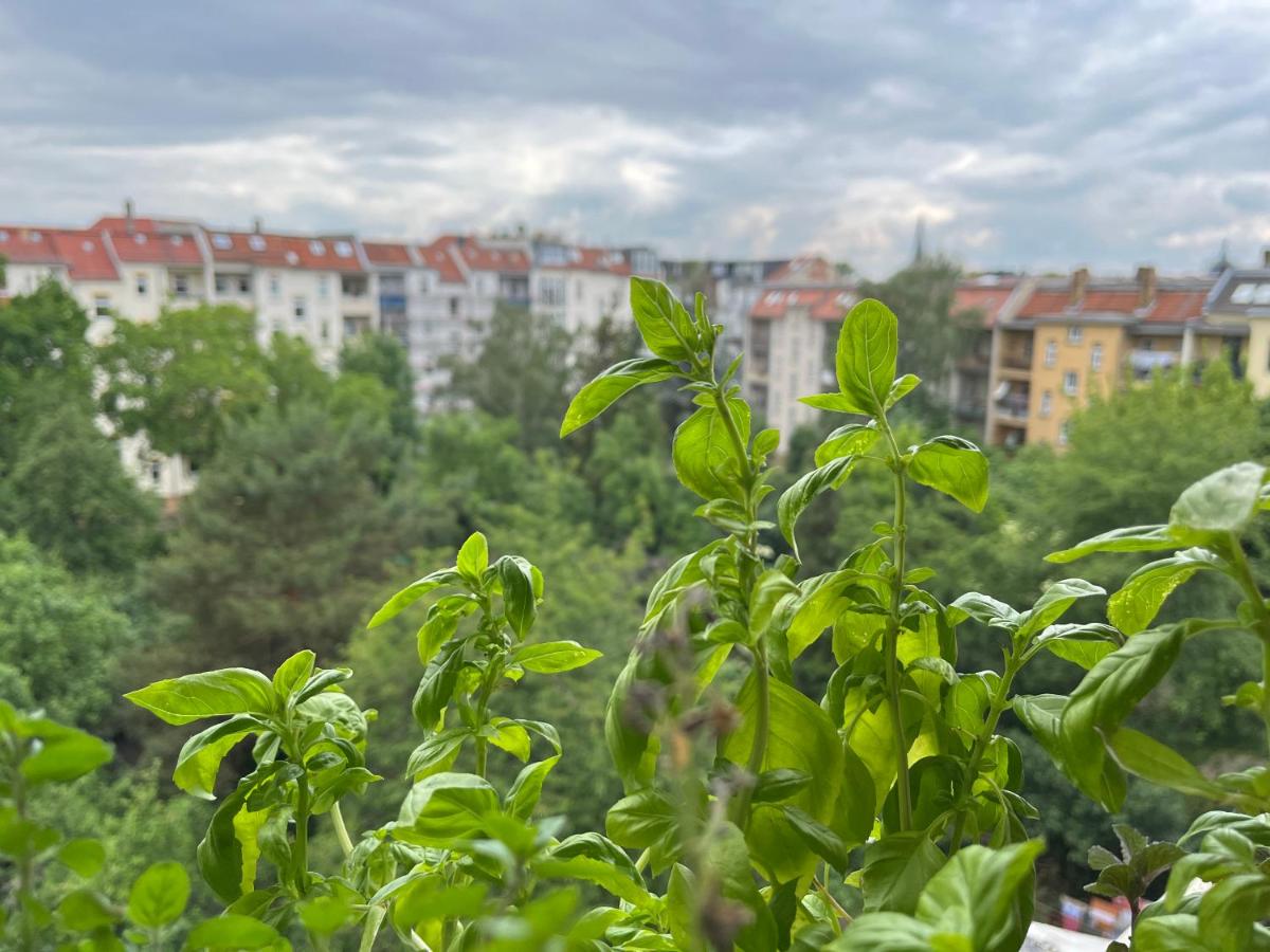 Nach oben für zwei - Ferienwohnung Leipzig
