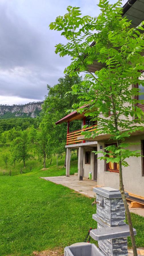 Guest house Tara - Bed and Breakfast