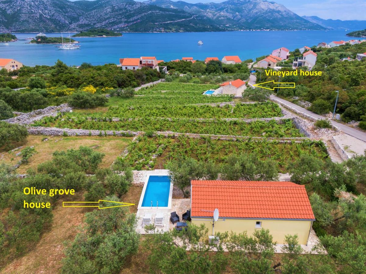 Ferienhaus mit Pool