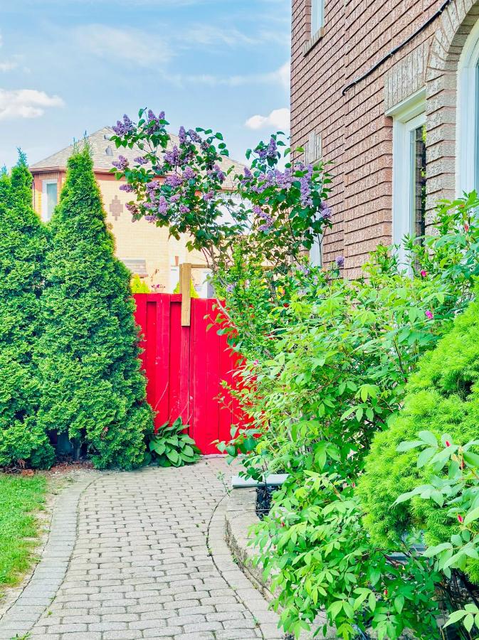 Spacious 2 Bedroom 1 bath Mississauga Basement Apartment - B&B