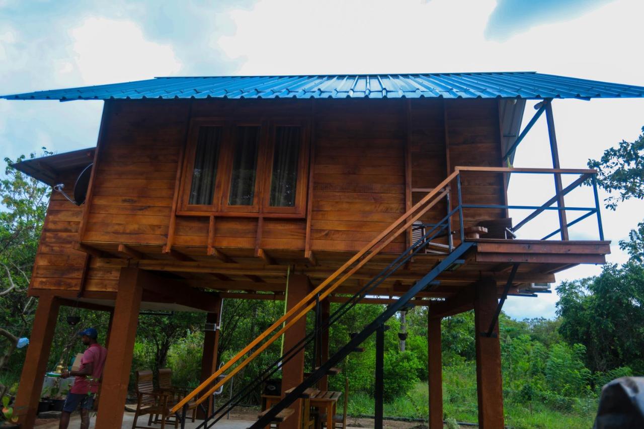 Lion Wood Treehouse - Bed and Breakfast Talkote