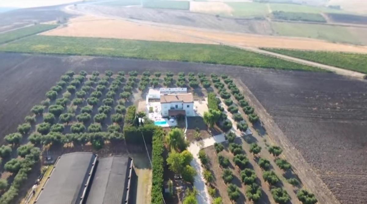 Tenuta viale degli ulivi - Chambres d'hôtes San Martino in Pensilis