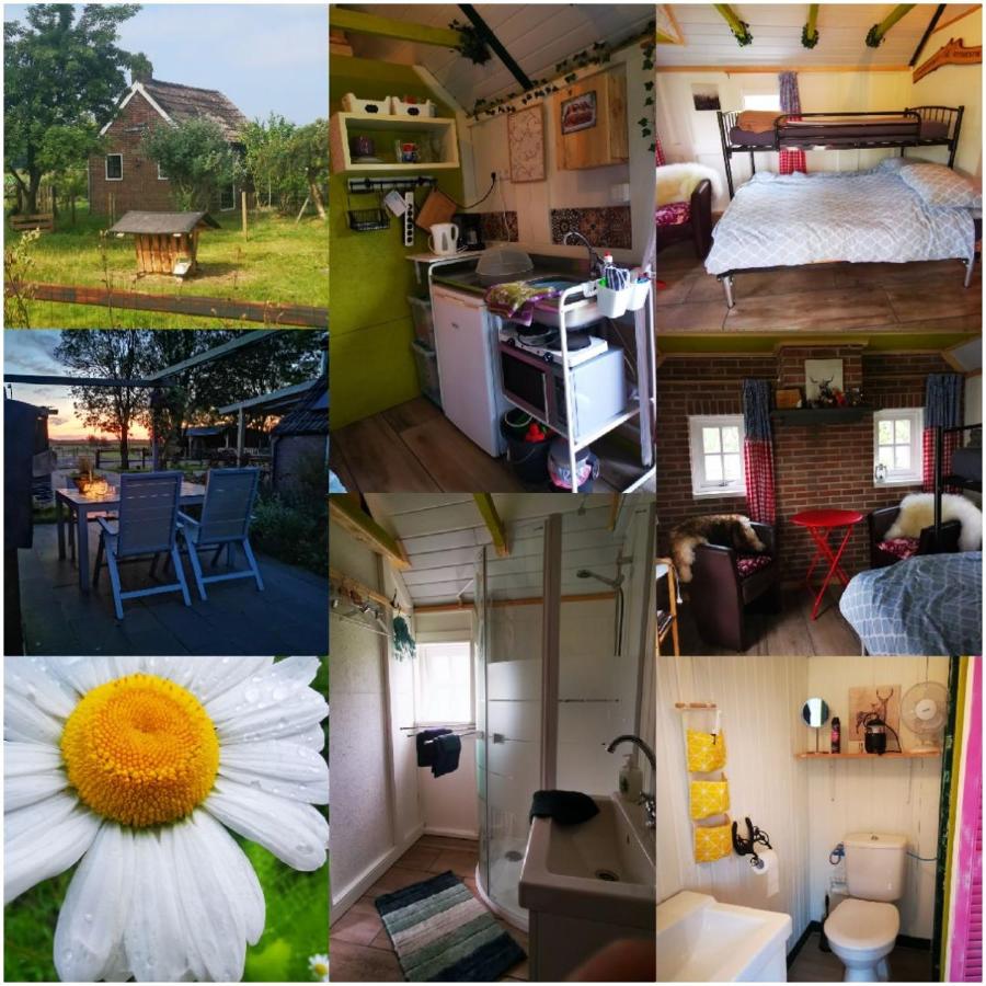 B&B Wijster - Trekkershut - Tiny House - Hikers cottage - Bed and Breakfast Wijster