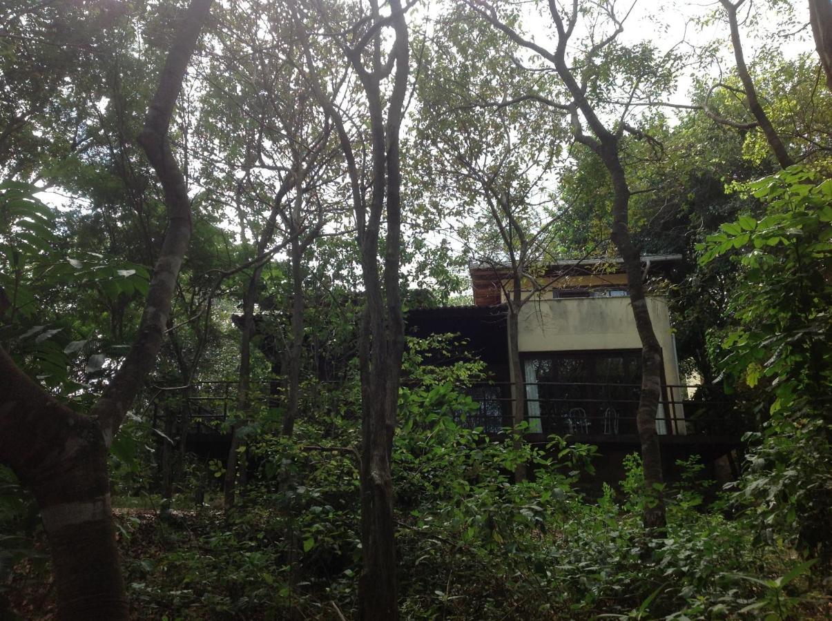 Pipa Hills Casa Jasmin - B&B