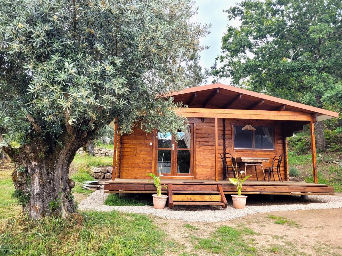 Two-Bedroom Cottage