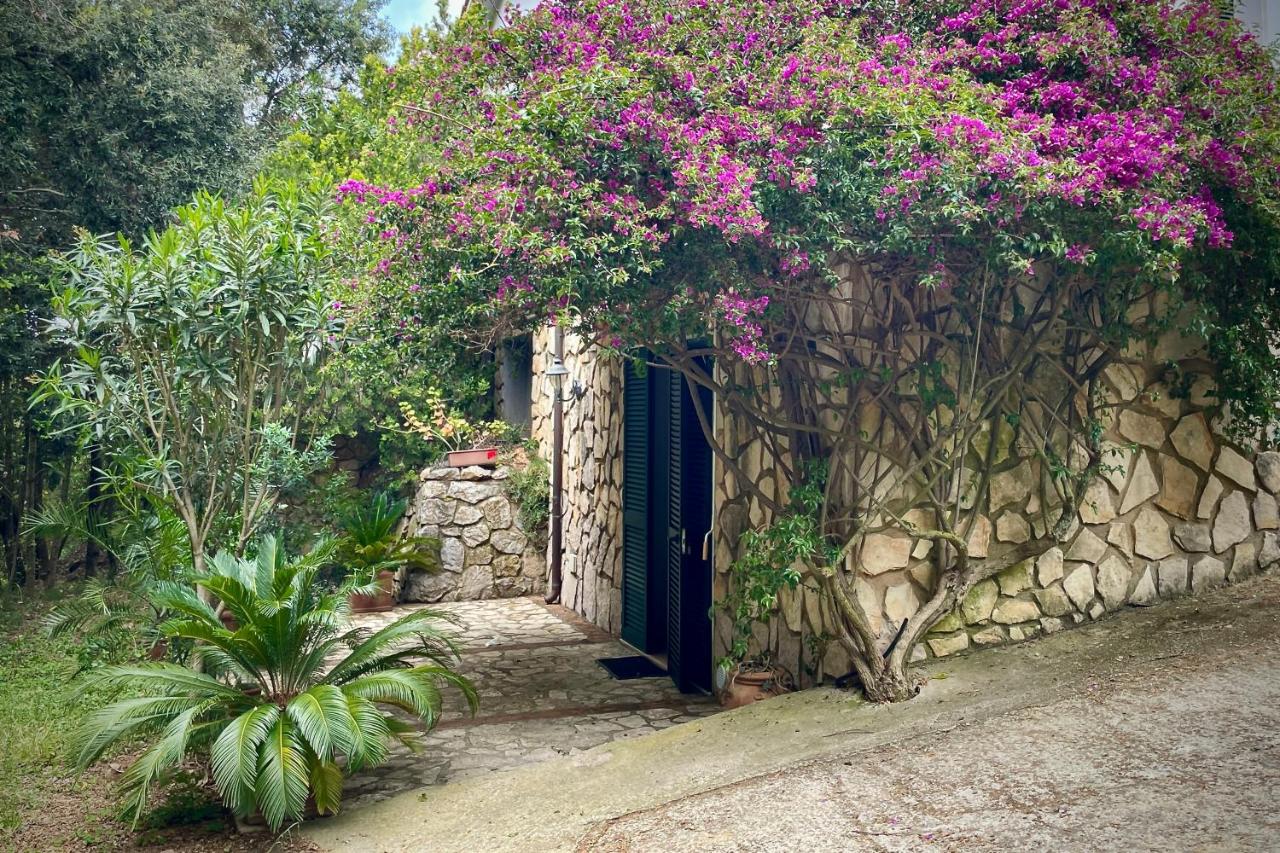 Casa Vacanze Isola d'Elba a 300m dal Mare - B&B Capoliveri
