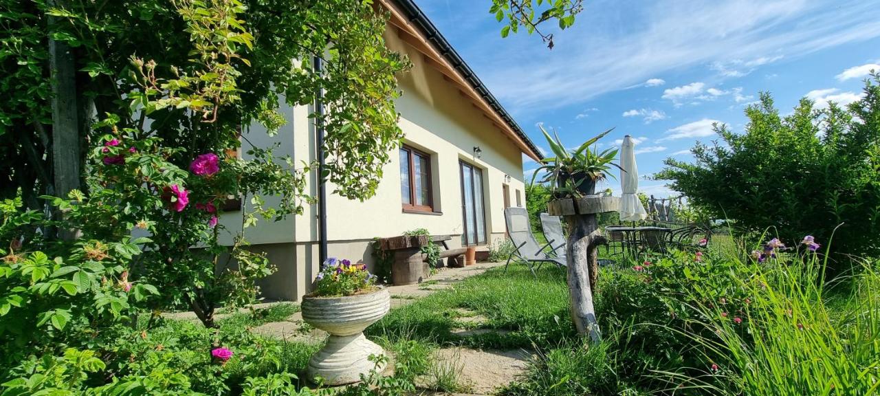 Noclegi u Babci Gieni - B&B