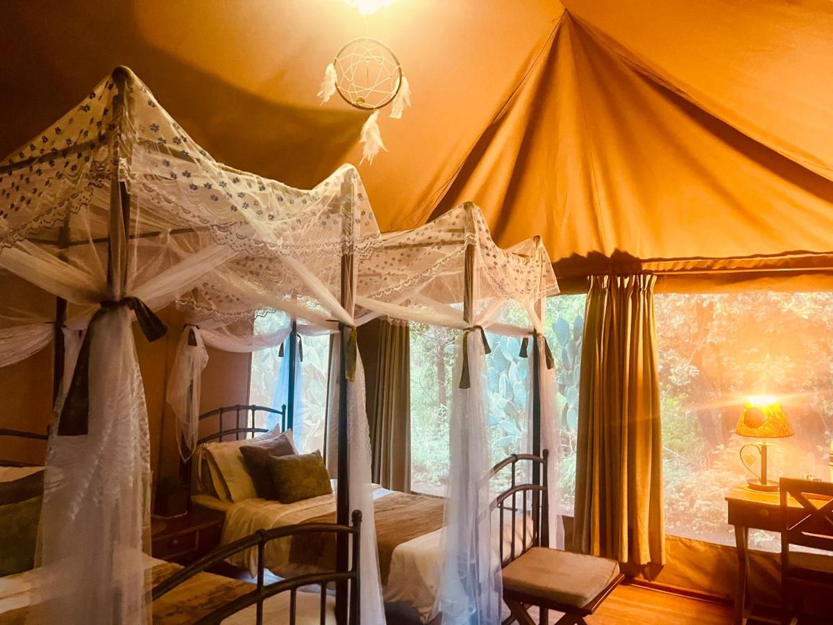 Tent with Twin Beds