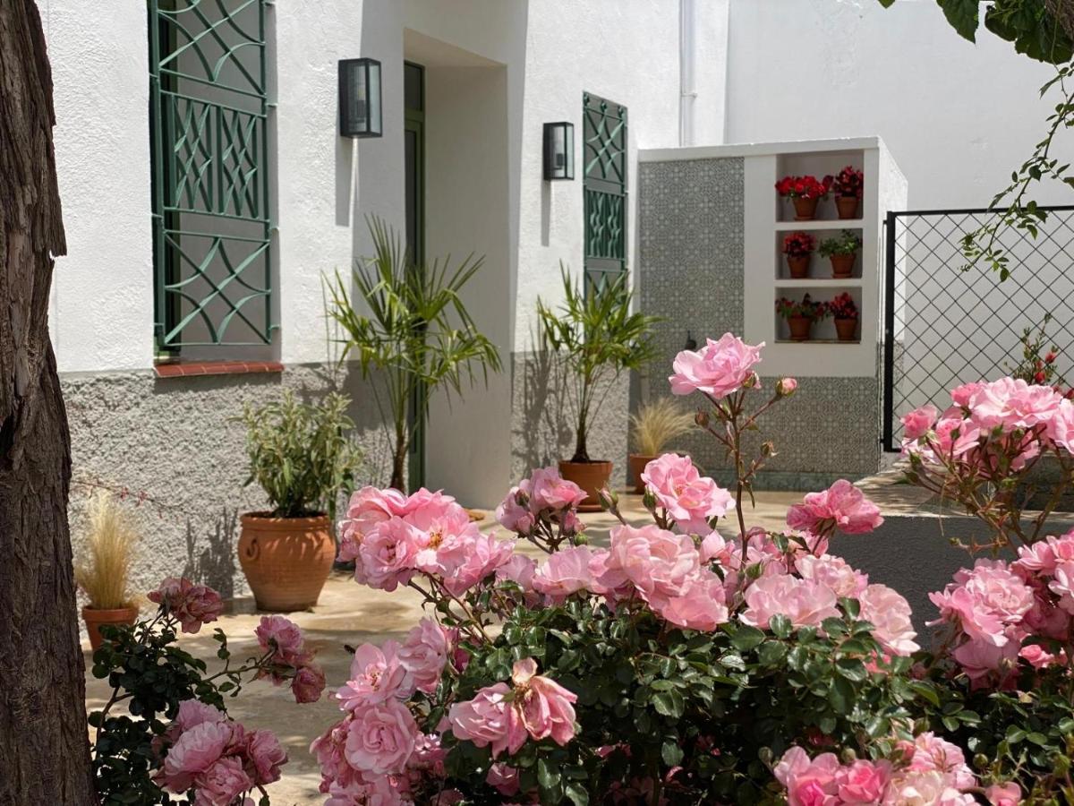 B&B Deltebre - Les Filles (antiga Fonda de la Parra) - Bed and Breakfast Deltebre