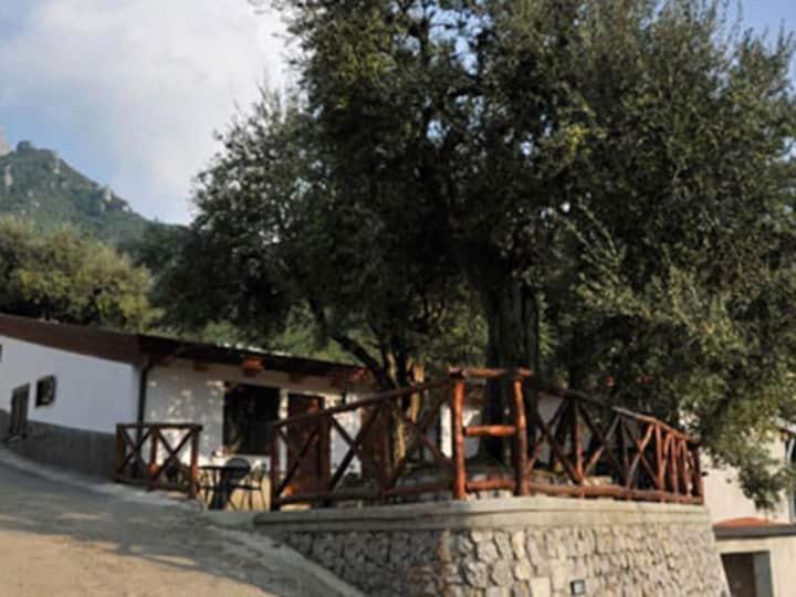 Casa Vacanze Dalisa Ulivo A con parcheggio - Chambres d’hôtes Tramonti