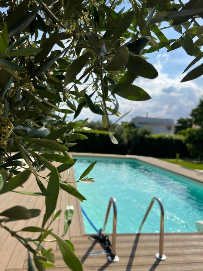 Ohana Alberobello - B&B