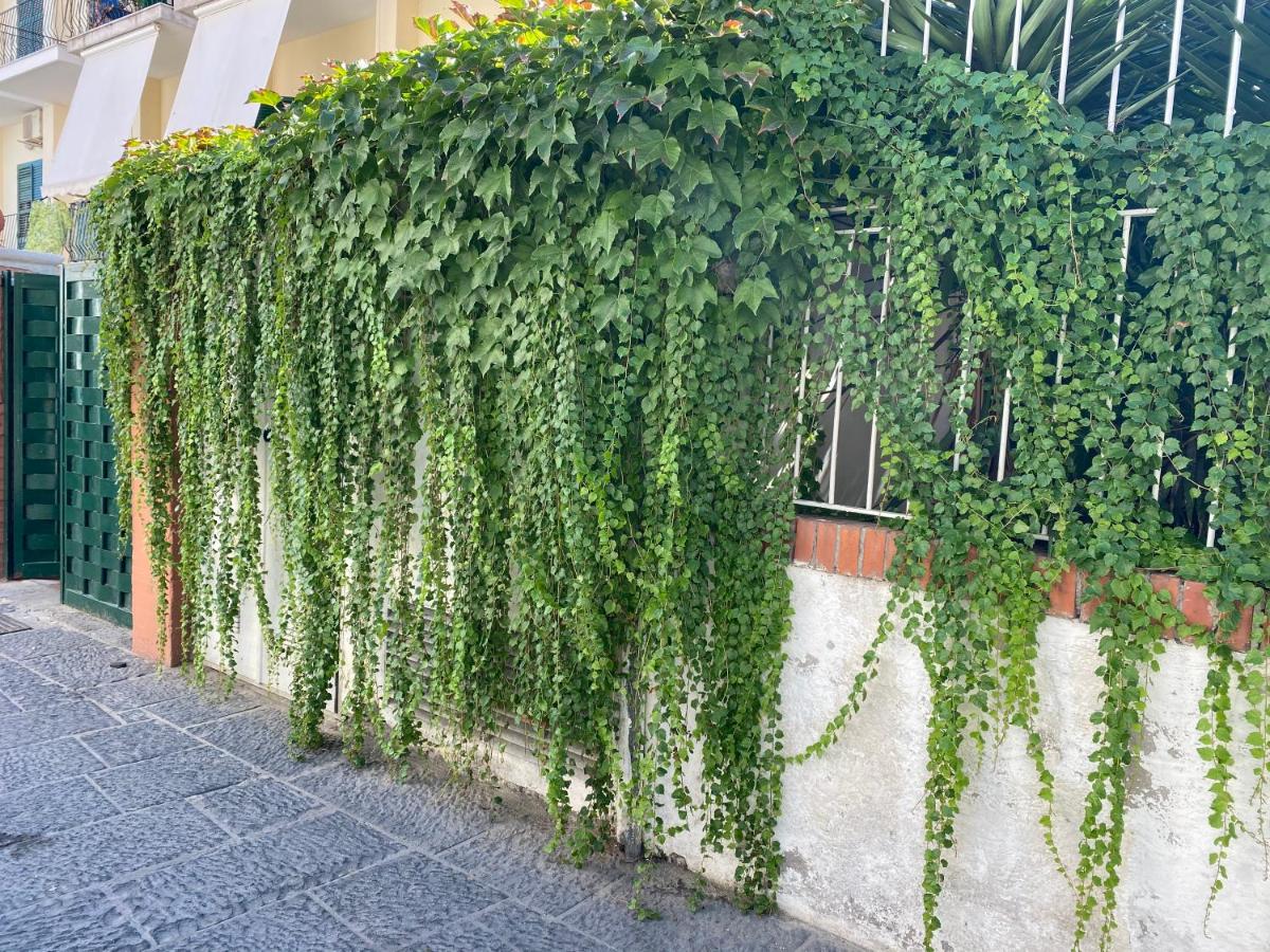 Ammore Ammare Apartment - Ferienwohnung